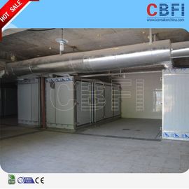 Commercial Blast Freezer / Chemical Blast Freezer Room With Imported Compressor