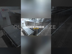 2 تن/ساعت تونل فریزر سریع