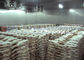 1000 تن R507 R404a اتاق سرد فریزر بزرگ برای مرغ های ماهی گوشتی