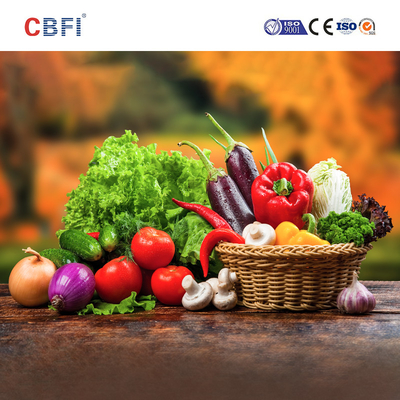 800kg/H IQF یخچال فریزر دو مارپیچی جعبه هوشمند نوع جعبه فریزر سریع تجهیزات تبرید